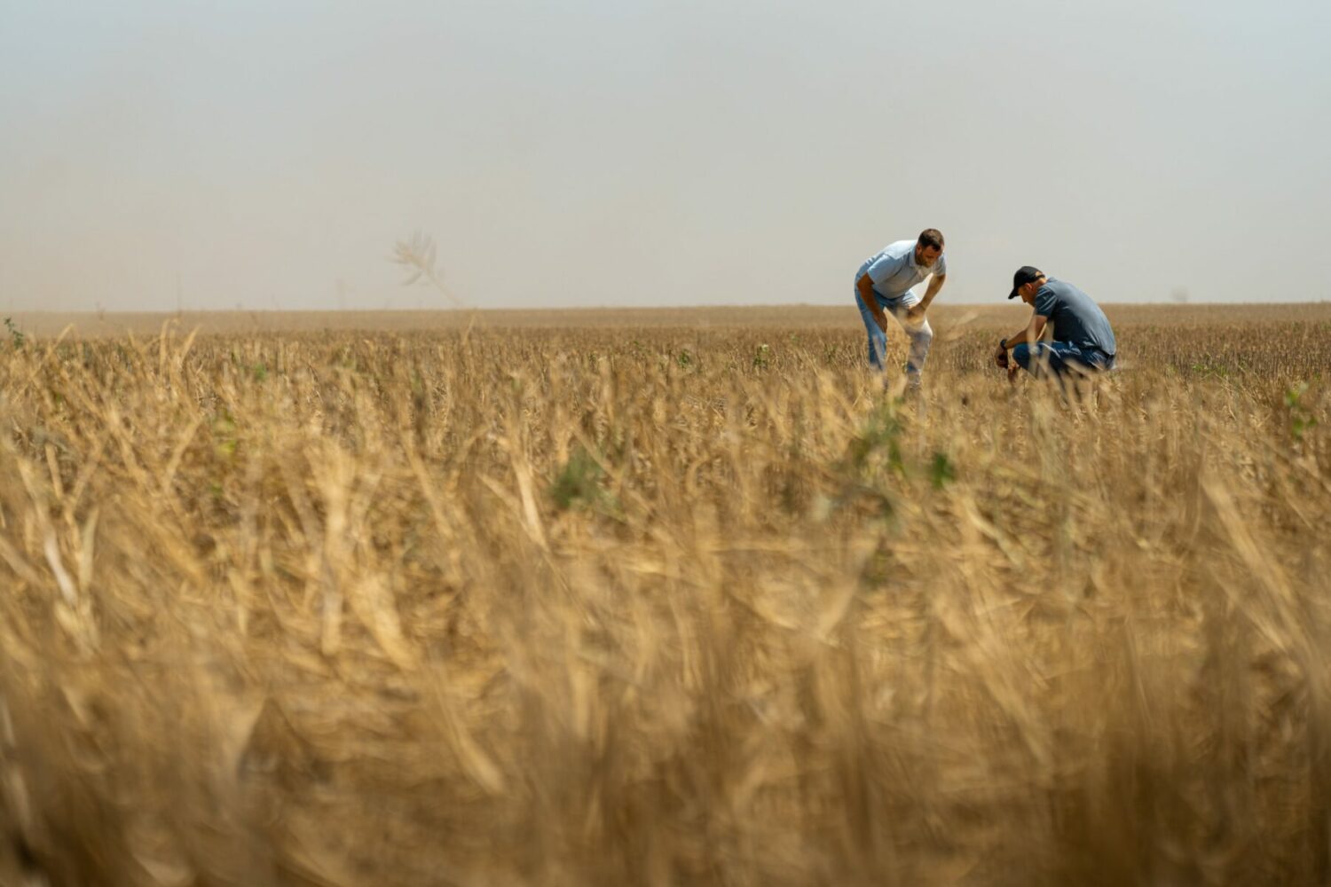 Farmers often need help and incentive to make a green transition.