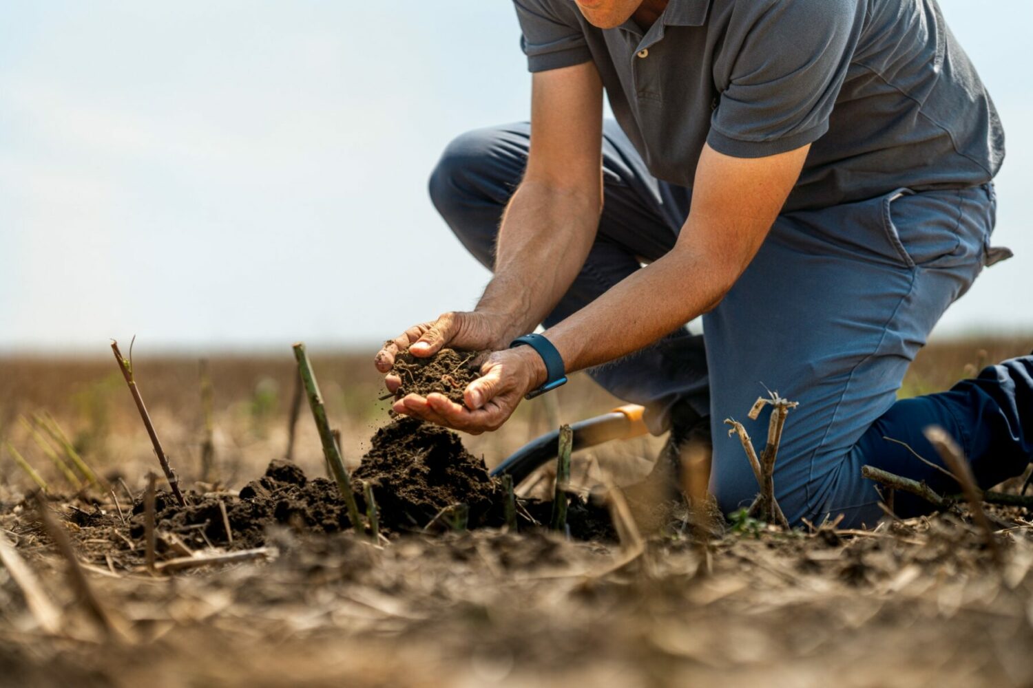 Agreena takes a farmers-first approach to regenerative farming by providing sustainable farming incentives to those looking to make a green transition.